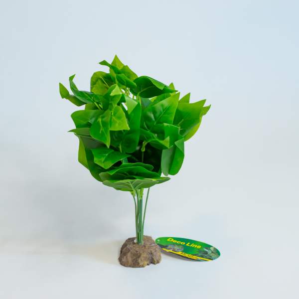 Lucky Reptile Golden Pothos auf Steinsockel